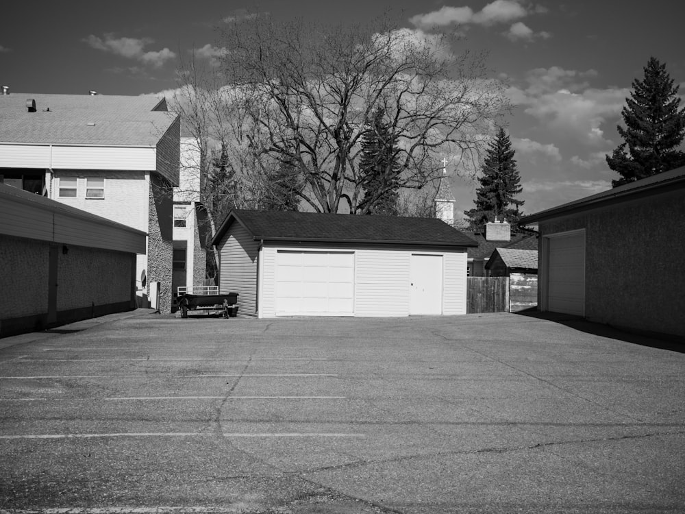 grayscale photo of bare trees near building