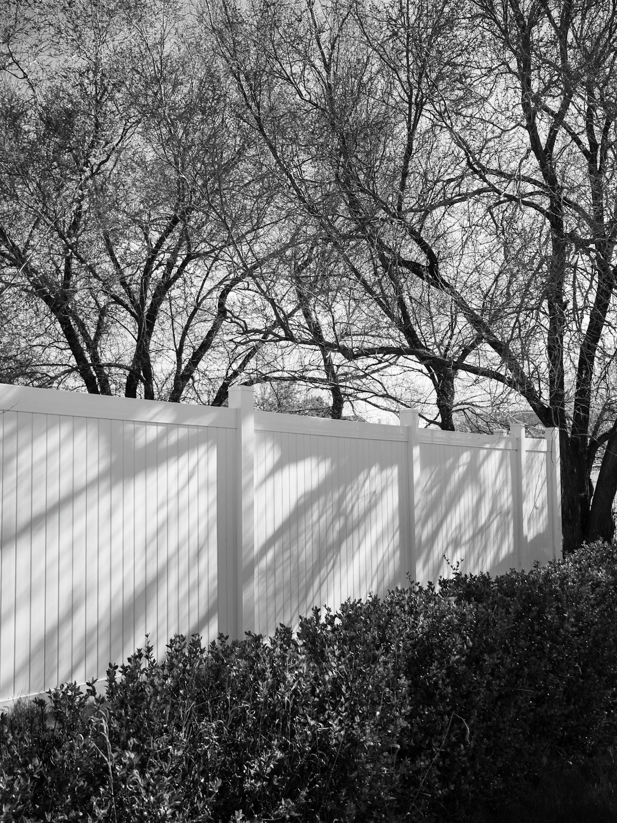 White vinyl privacy fence with matching posts behind a row of shrubs