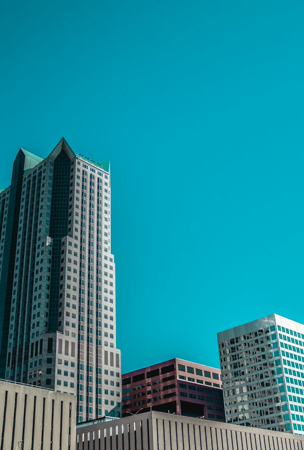 white and blue high rise building