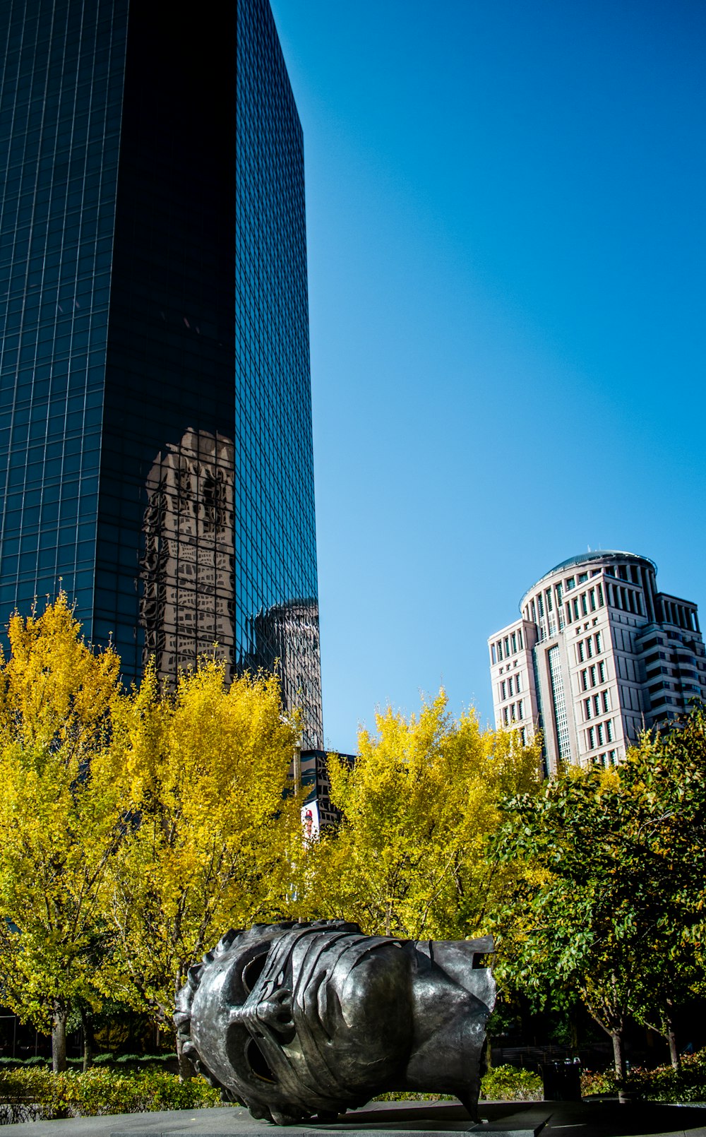 people walking on pathway near high rise building during daytime