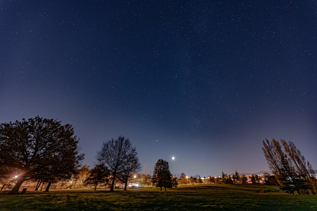 green grass field under blue sky during night time