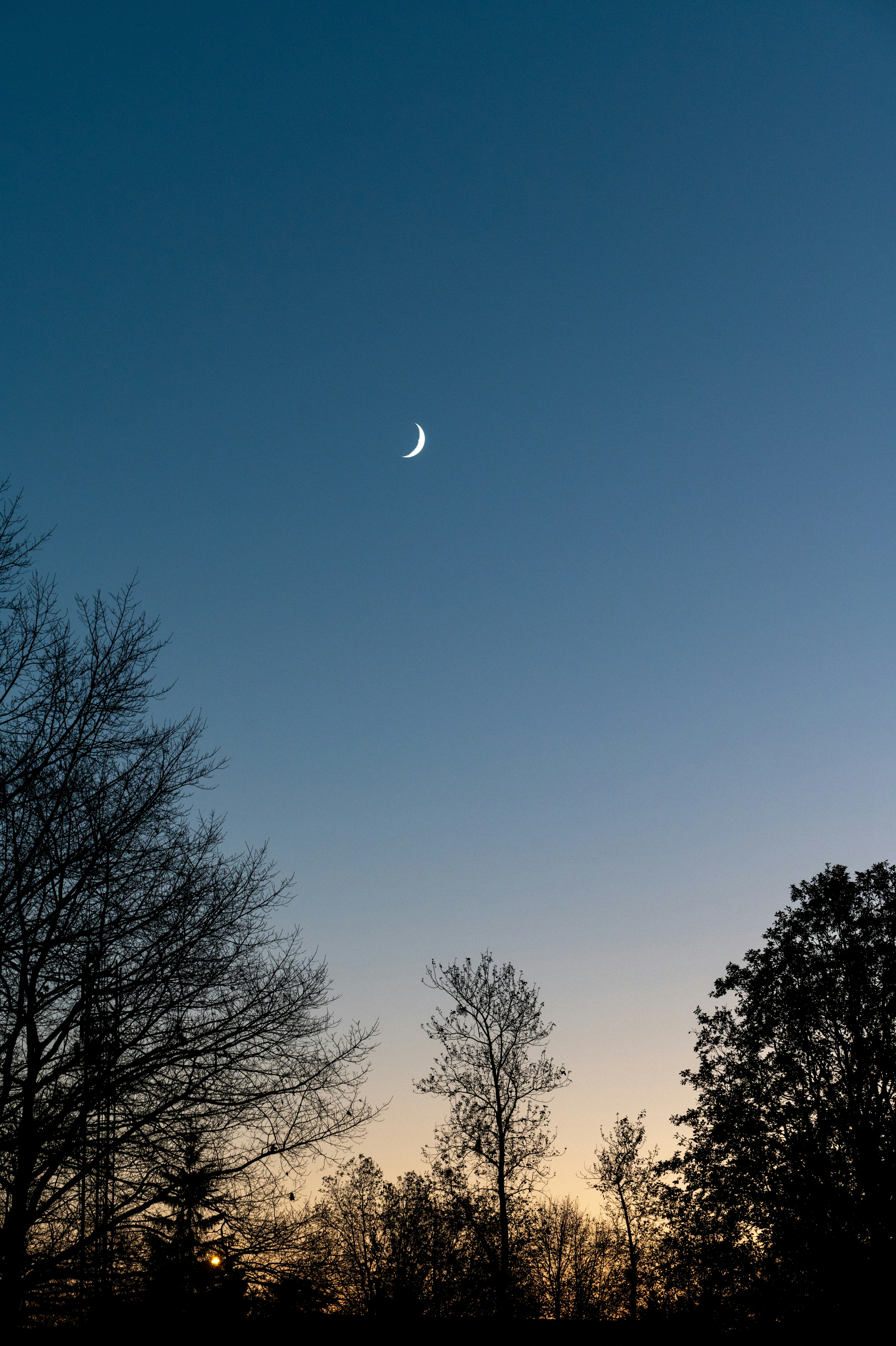 Photo by andreasbrun