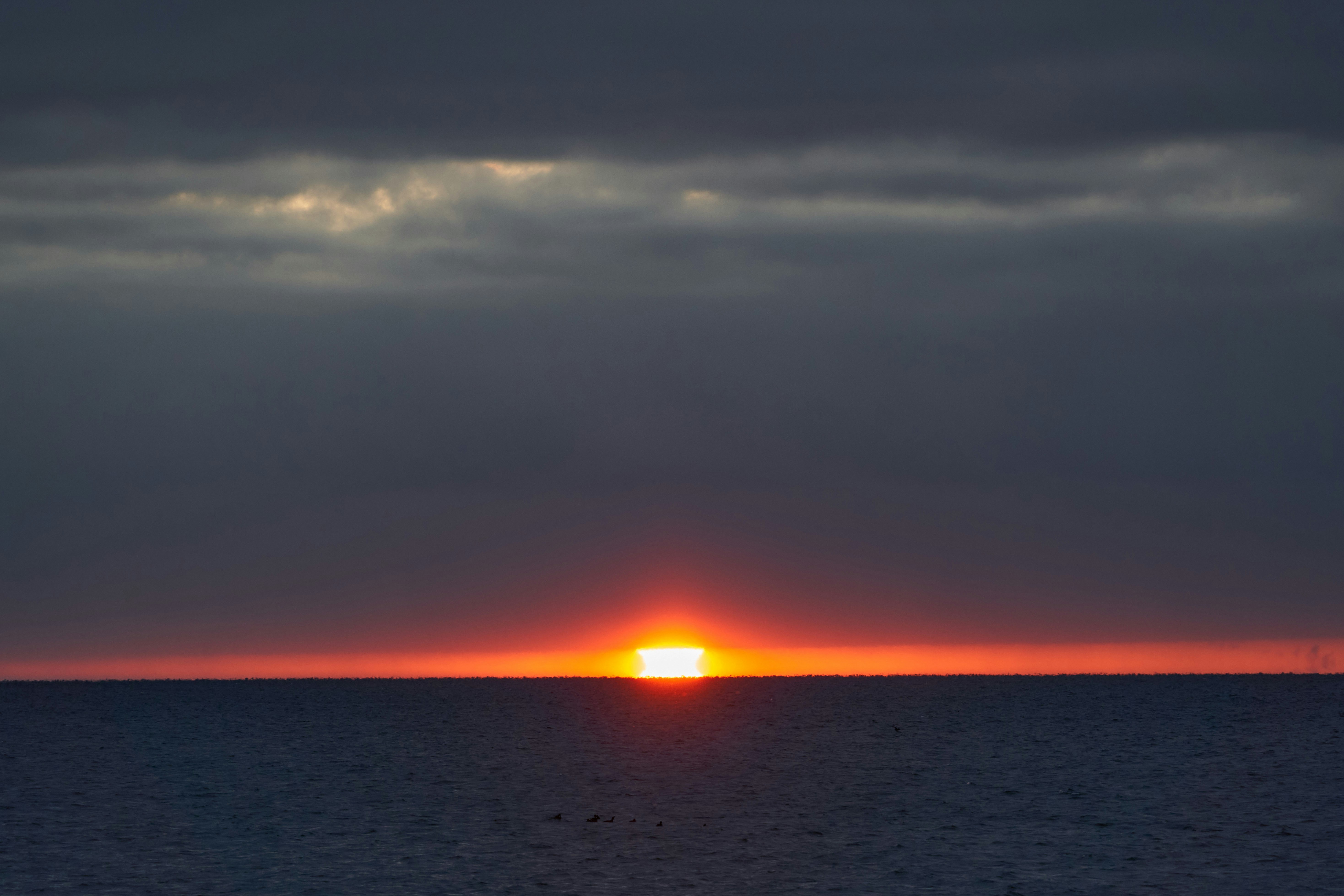 Photo by wolfgang_hasselmann