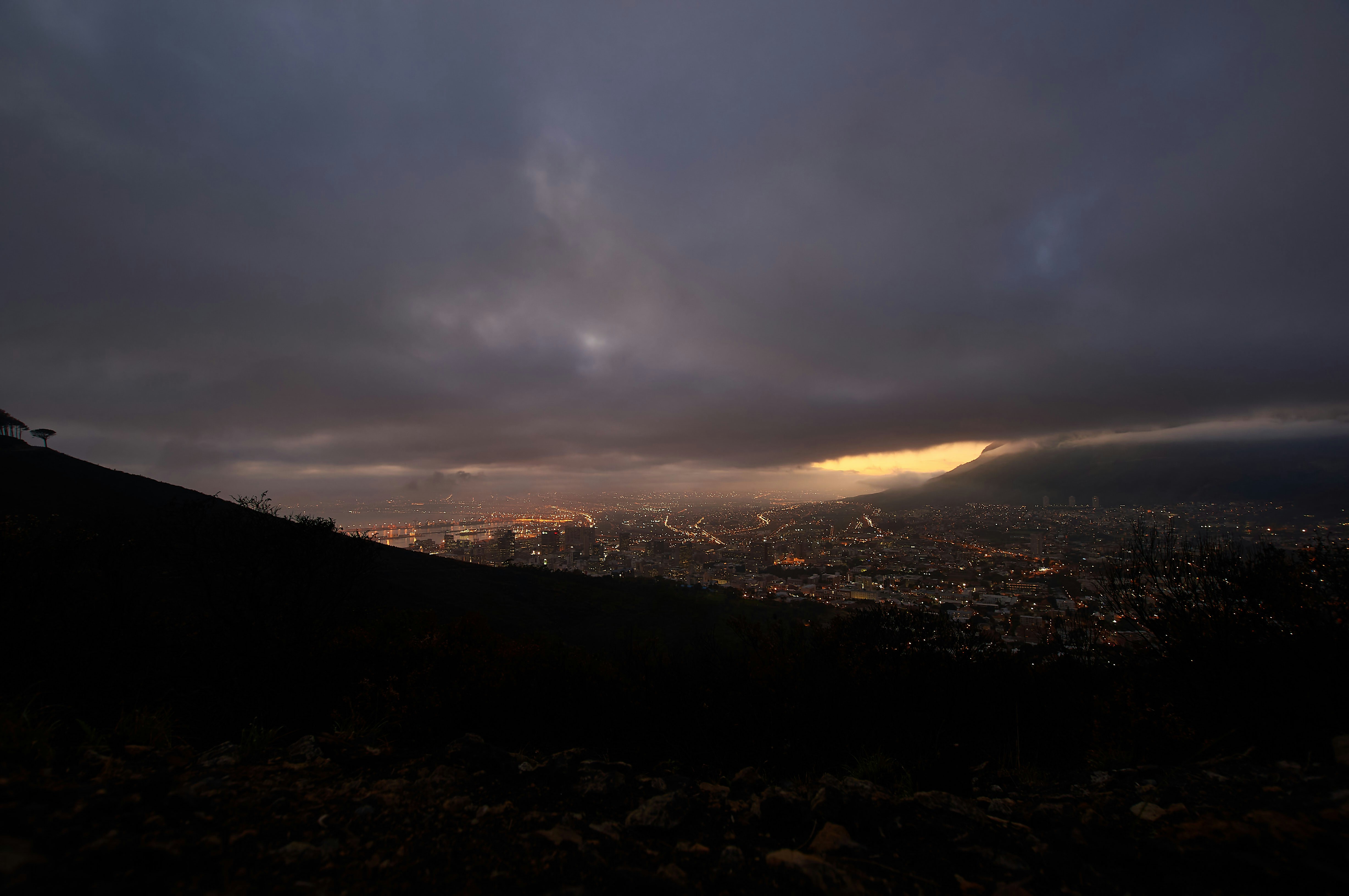 Photo by wolfgang_hasselmann