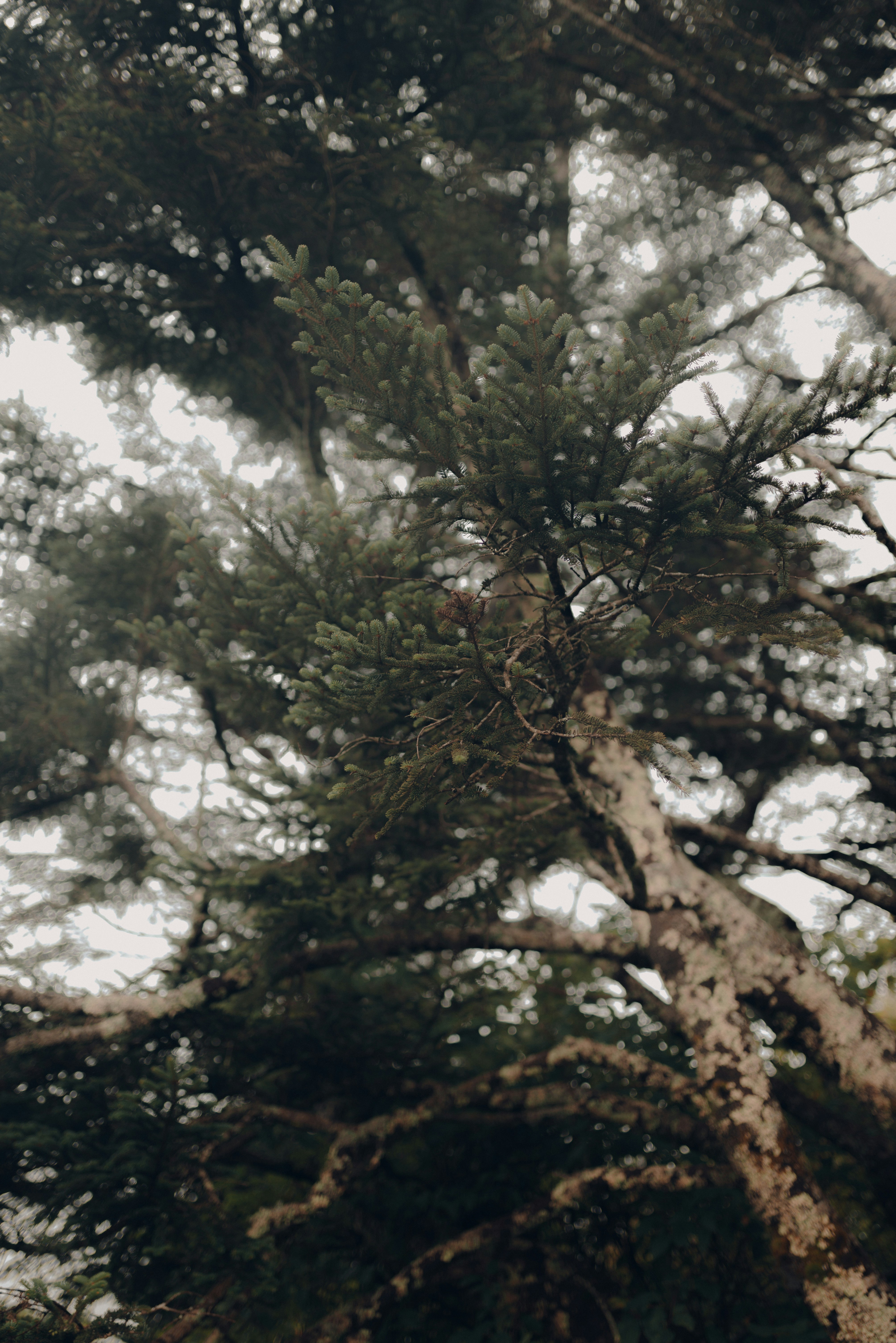 Photo by tallentcreations