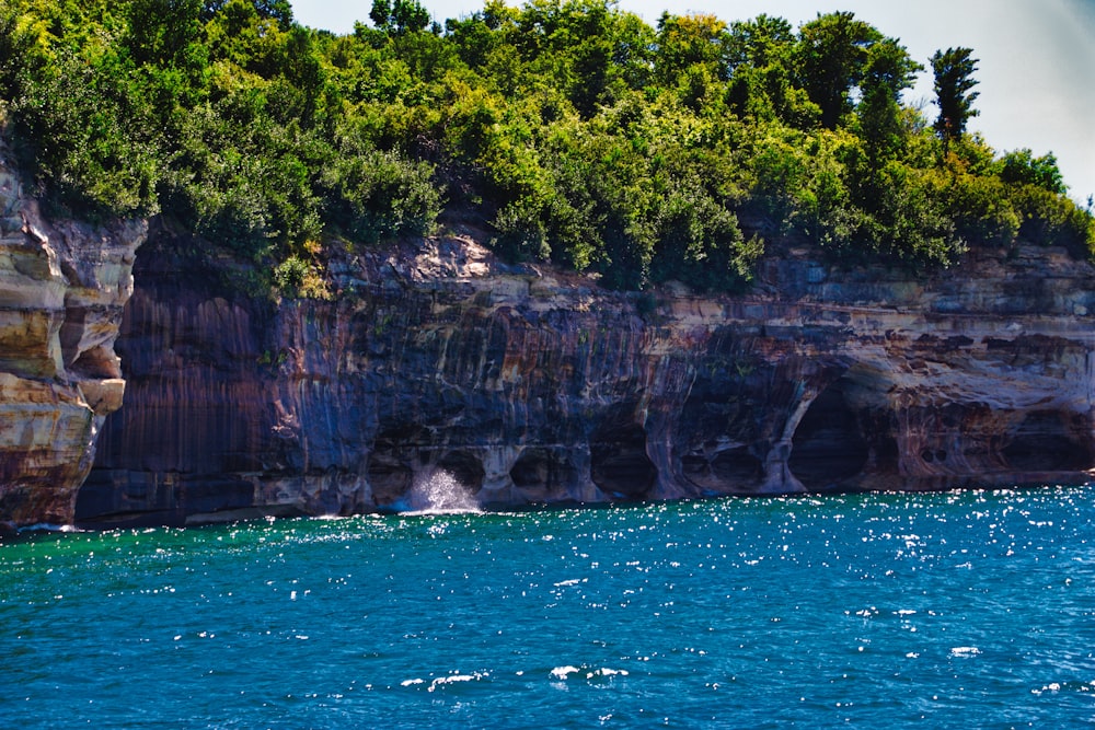 green trees on brown rock formation beside sea during daytime