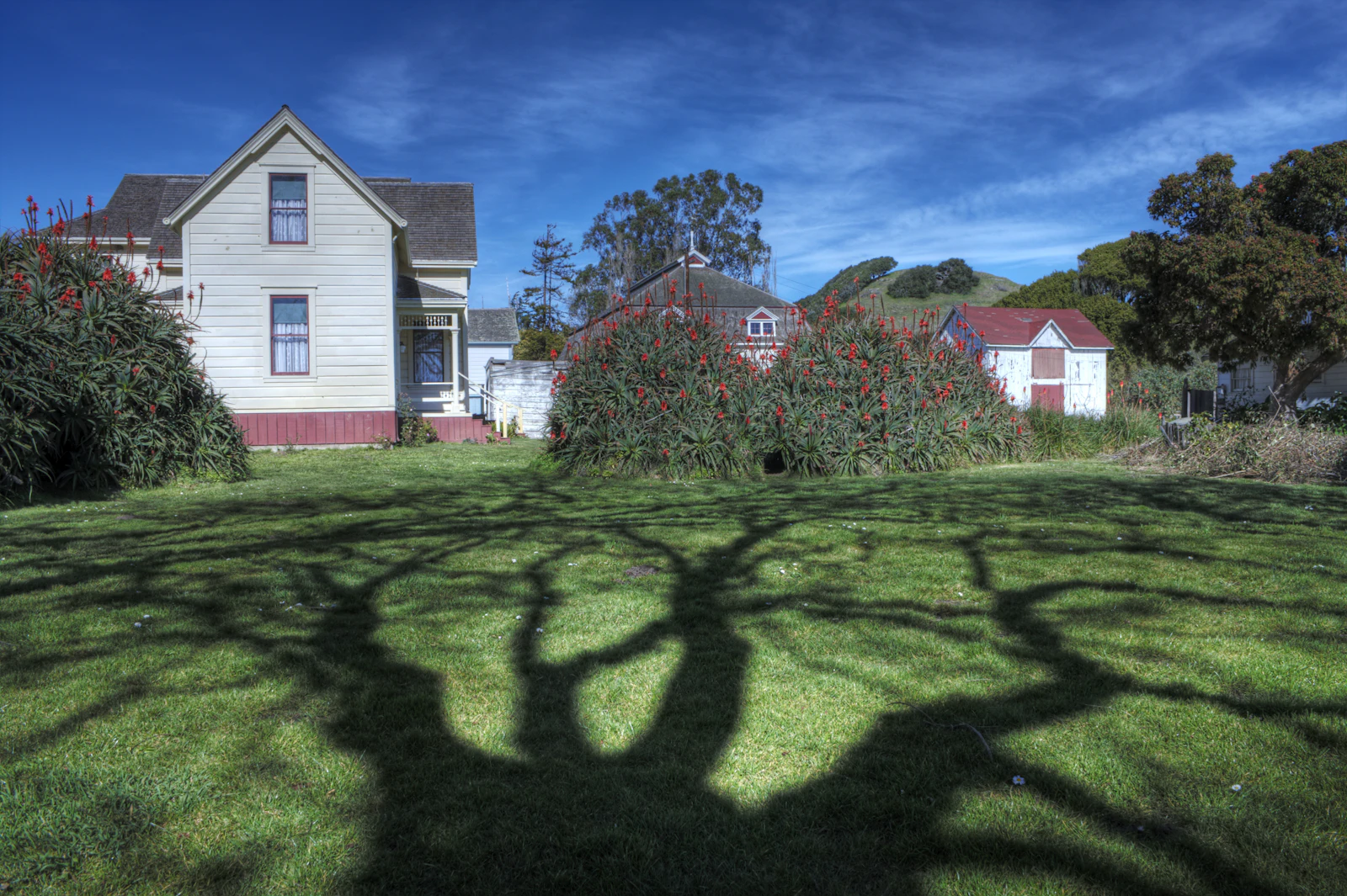 White single-family home with a large green lawn