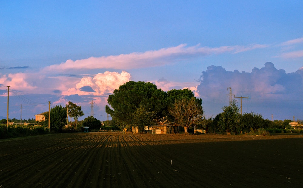 green trees under white clouds and blue sky during daytime