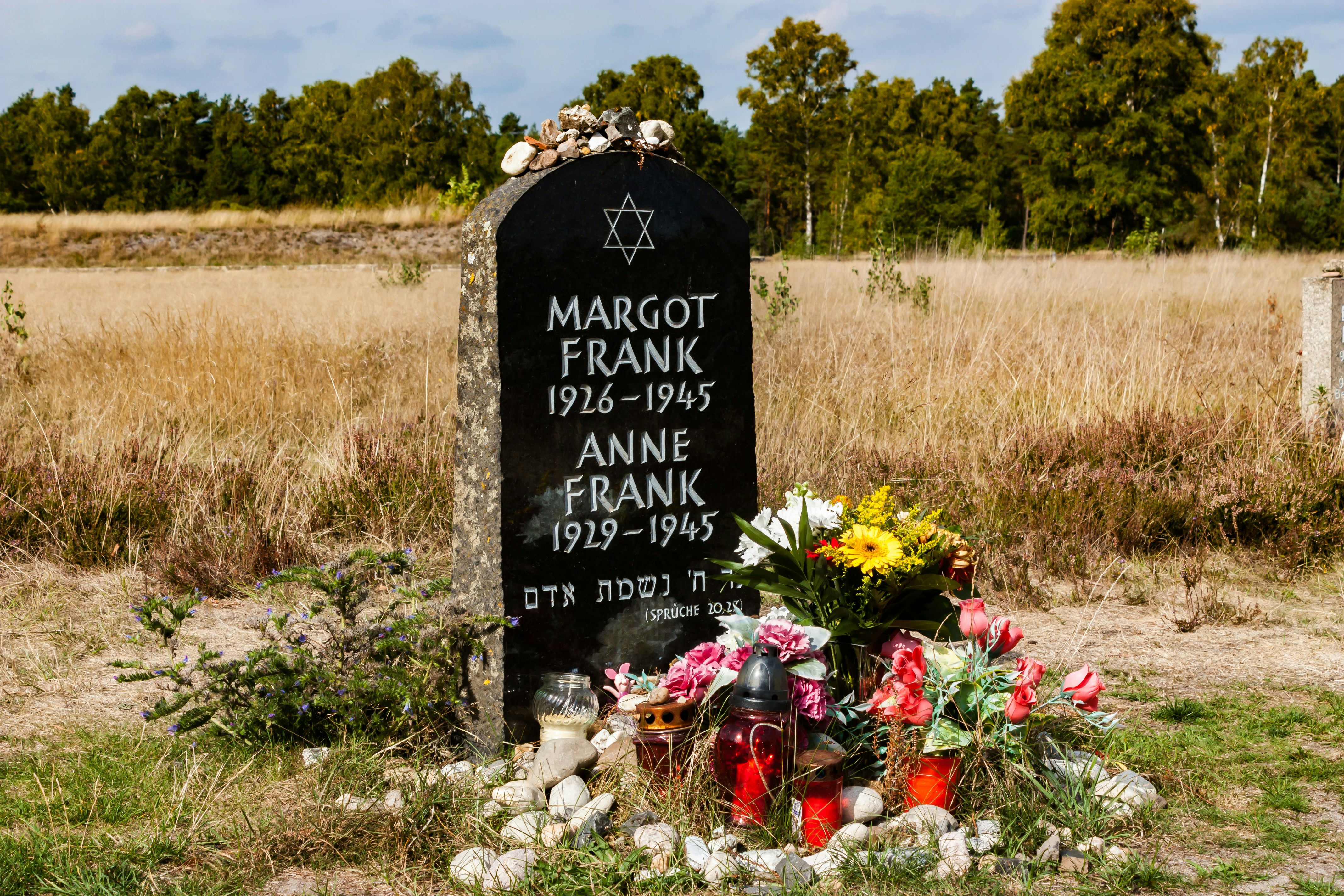 Remembering Anne Frank: Heartfelt Wishes to Share Today