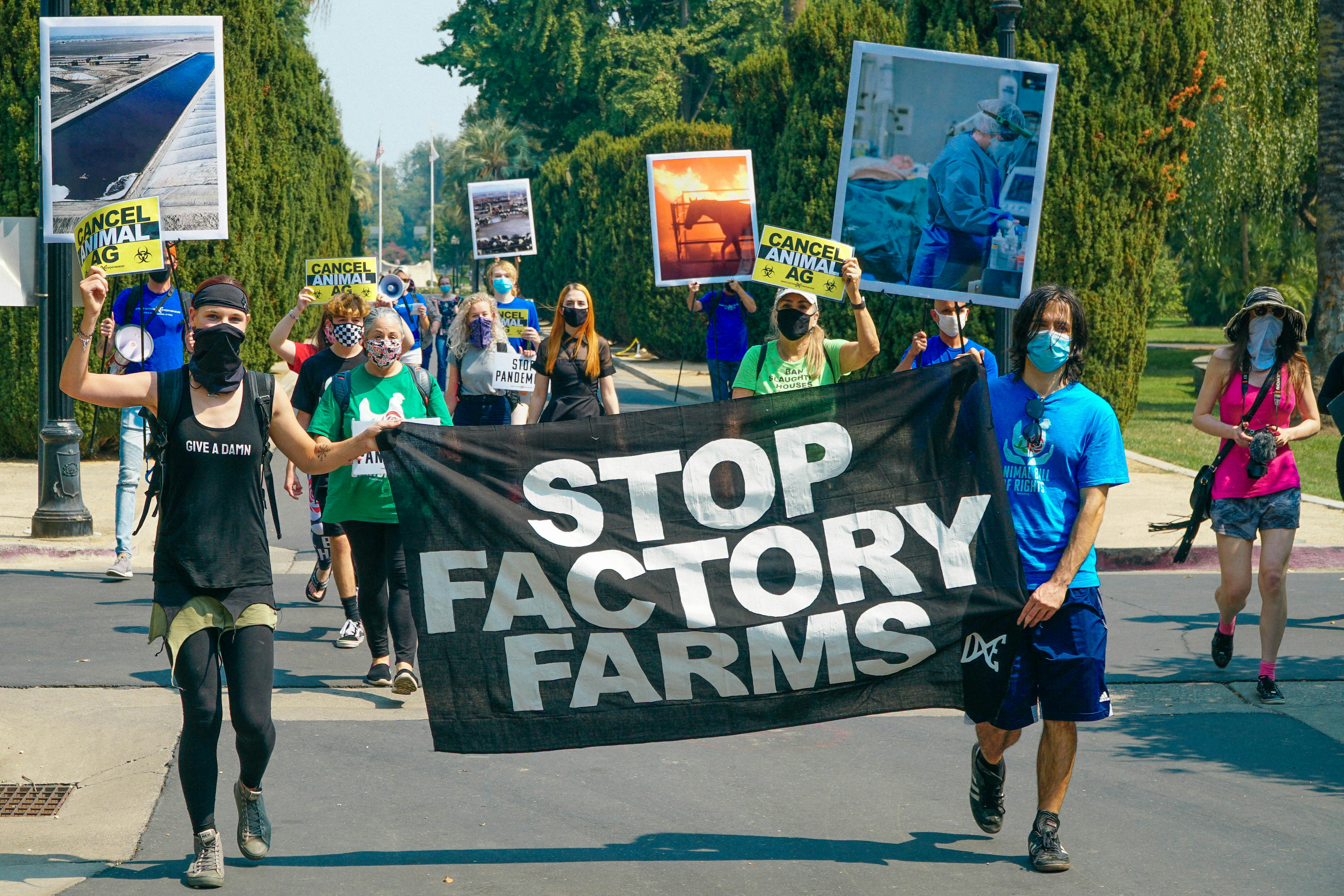 Animal Rights activists from Direct Action Everywhere protest in Sacramento to stop factory farms the negative effects on the climate crisis, is the contribution to pandemics, like covid-19 and animal cruelty.