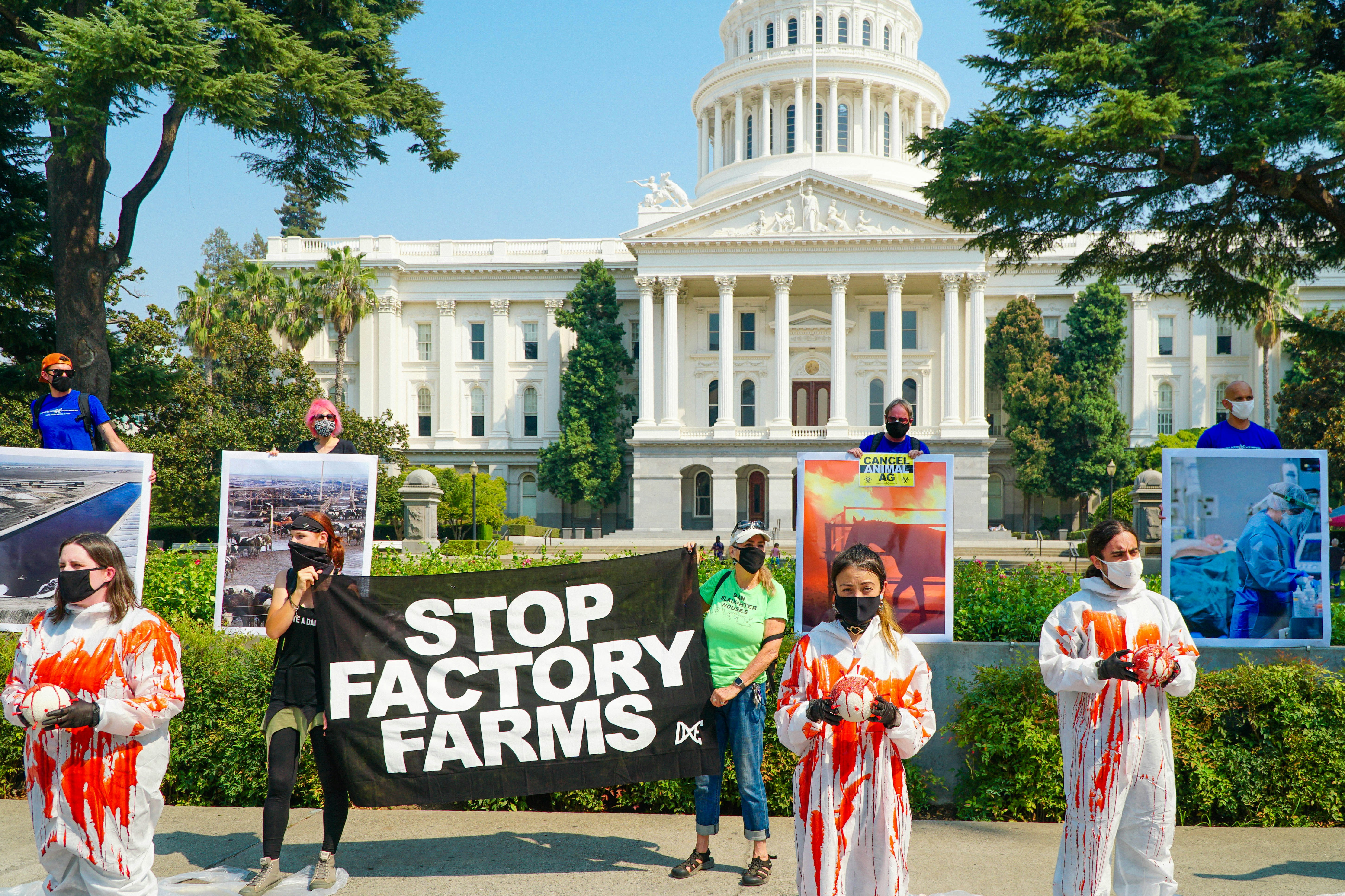 Animal Rights activists from Direct Action Everywhere protest in Sacramento to stop factory farms the negative effects on the climate crisis, is the contribution to pandemics, like covid-19 and animal cruelty.