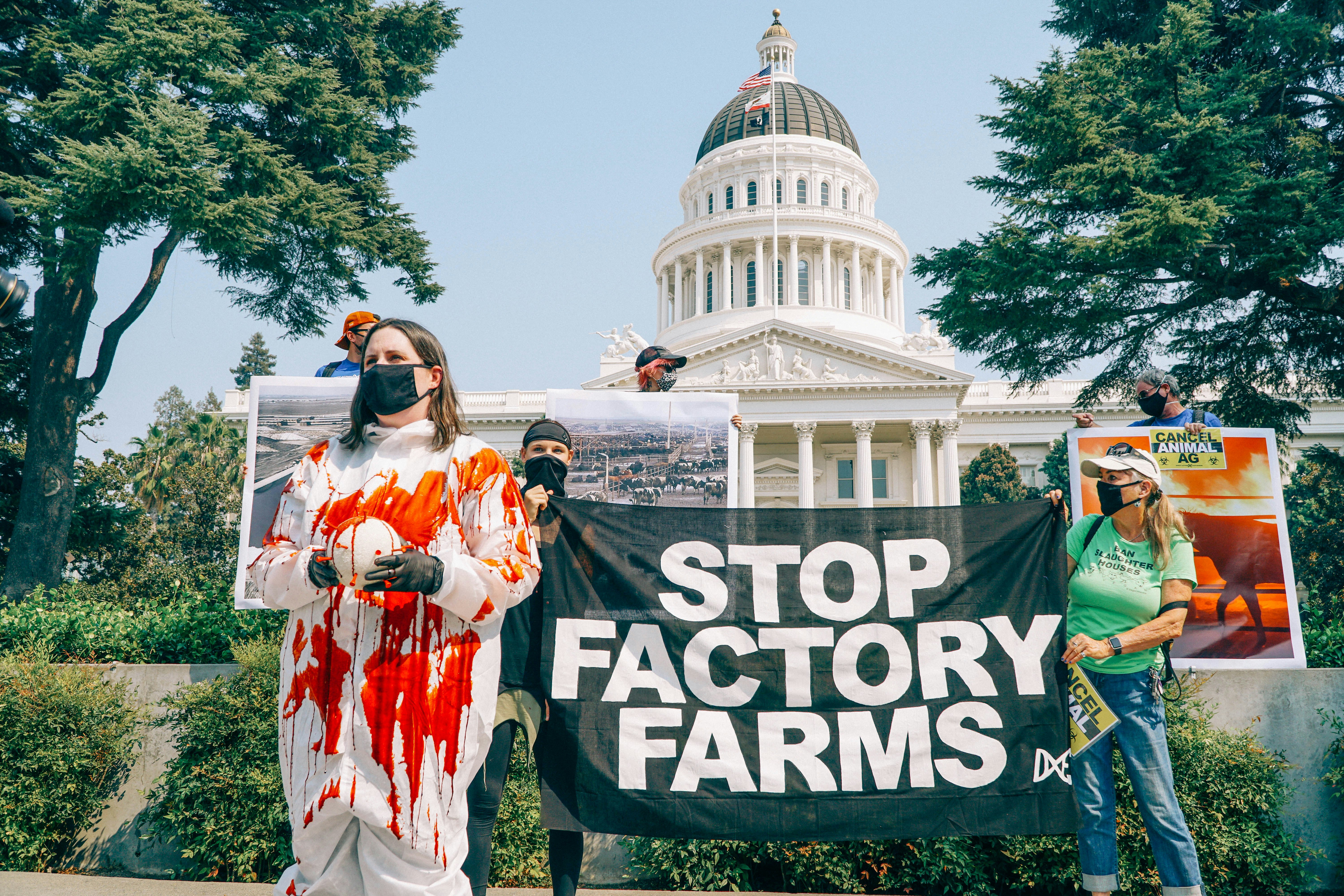 Animal Rights activists from Direct Action Everywhere protest in Sacramento to stop factory farms the negative effects on the climate crisis, is the contribution to pandemics, like covid-19 and animal cruelty.