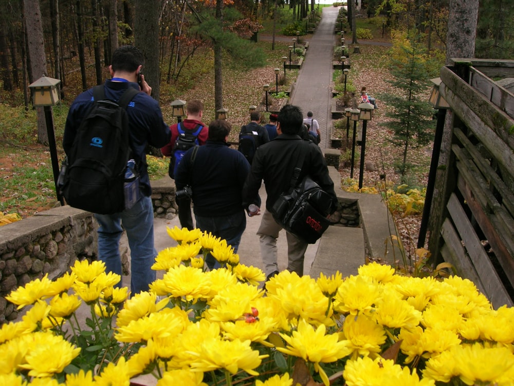 people in black jacket standing near yellow flowers during daytime