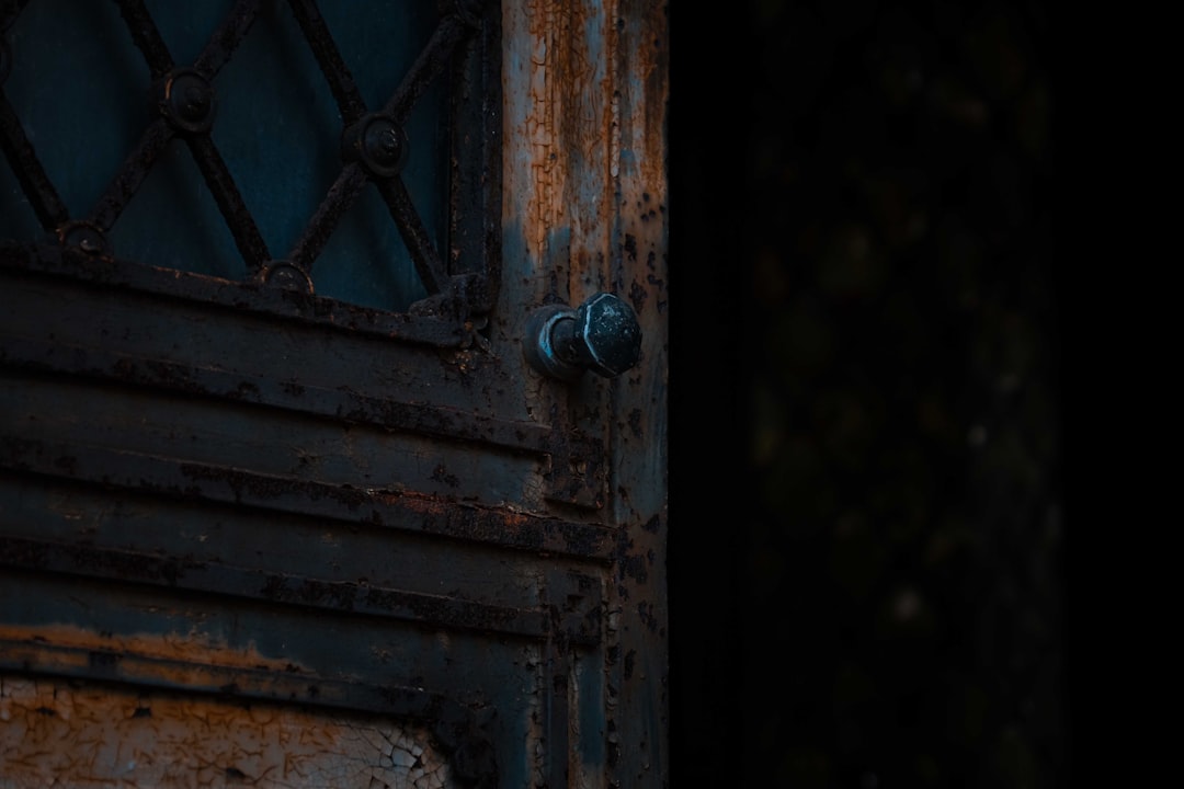 brown wooden door with silver door knob