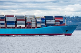 red and blue cargo ship on sea during daytime