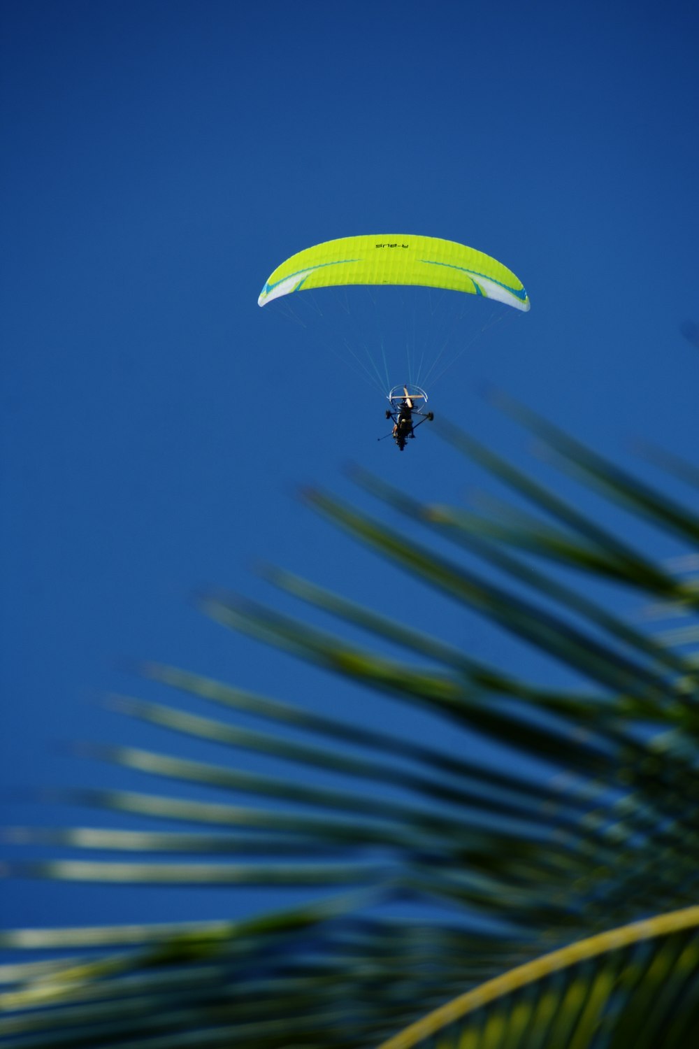 person in black and white parachute