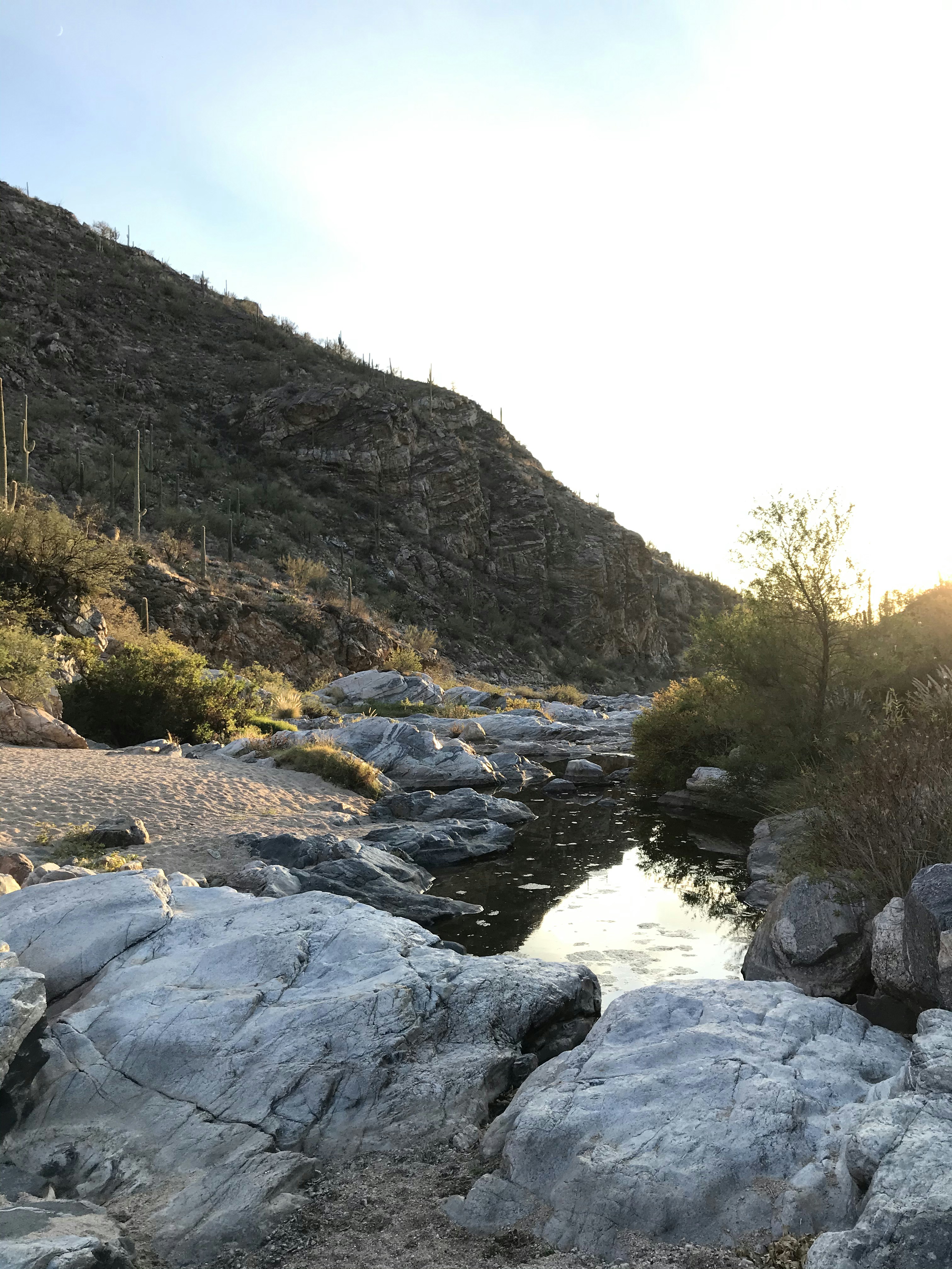 Photo by theodore_wathieu