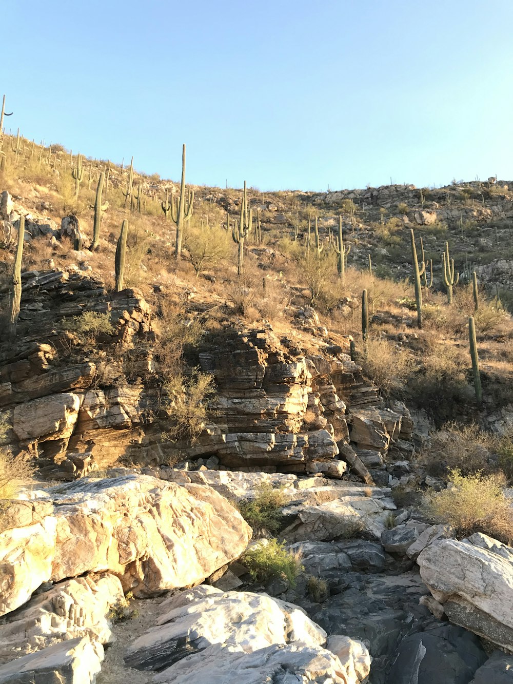 brown rocky mountain under blue sky during daytime