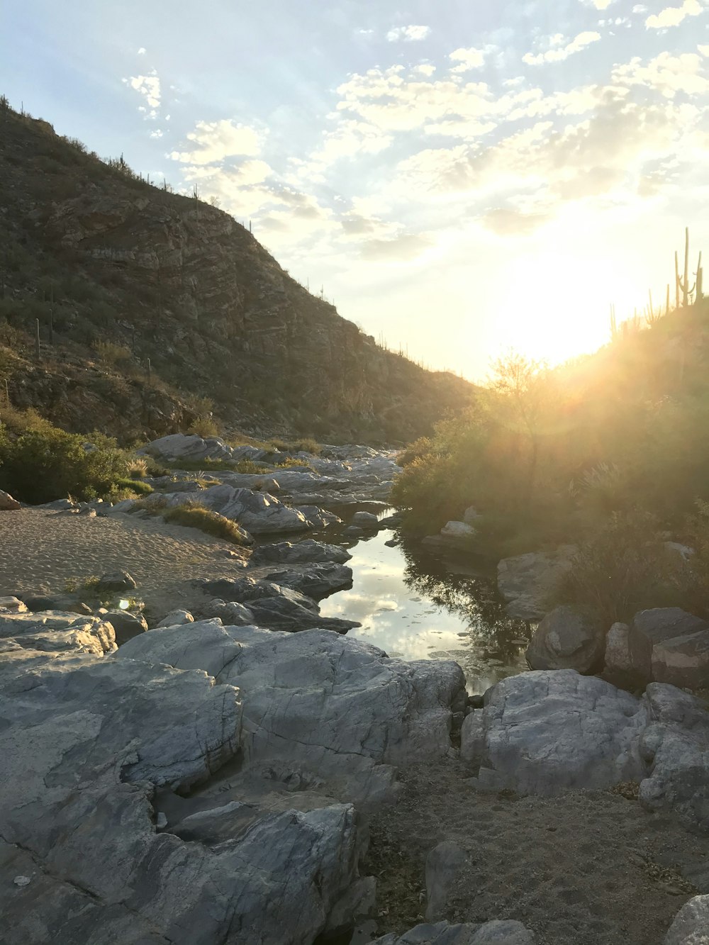 rocky river between green trees during daytime