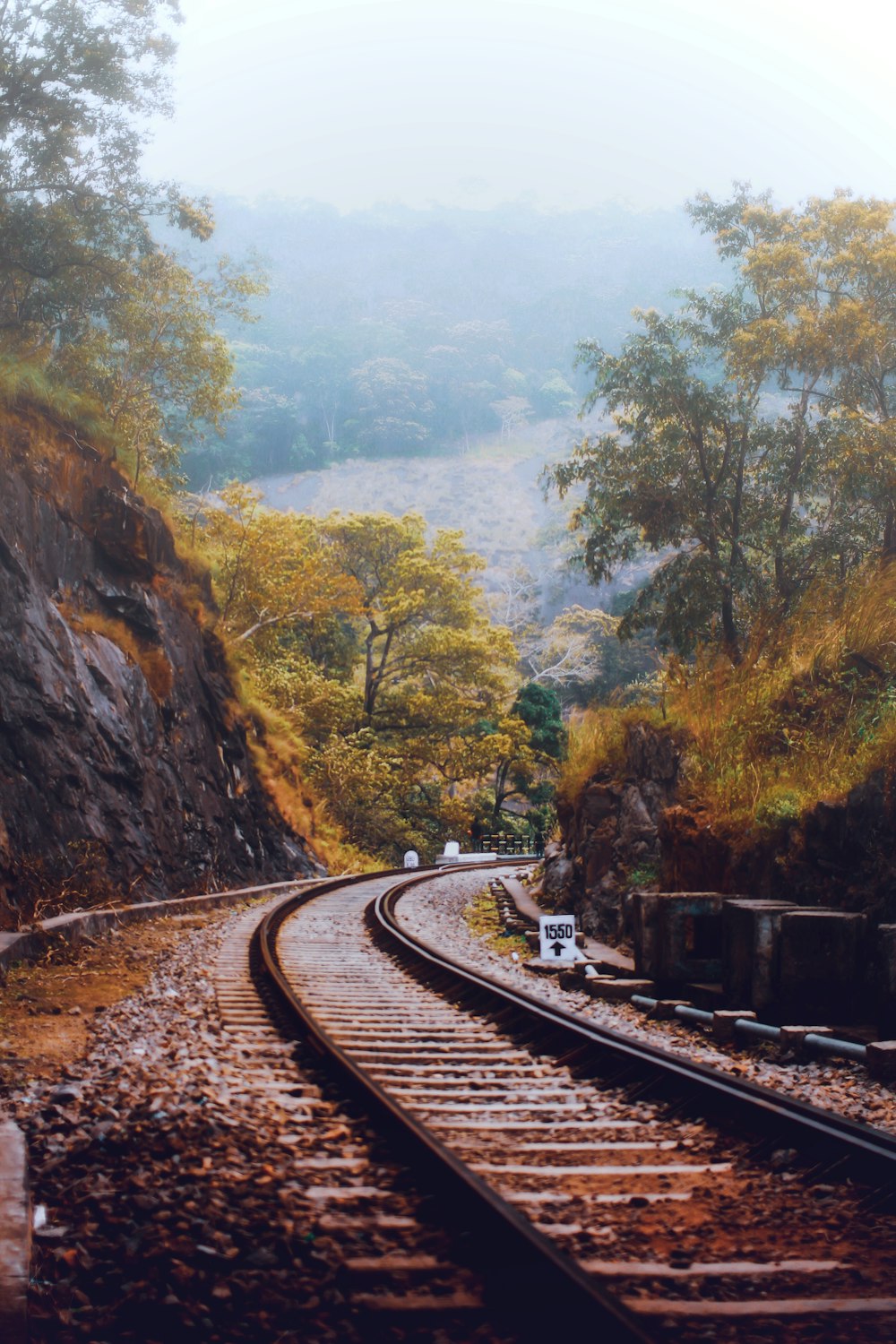 Tren cerca de árboles verdes durante el día