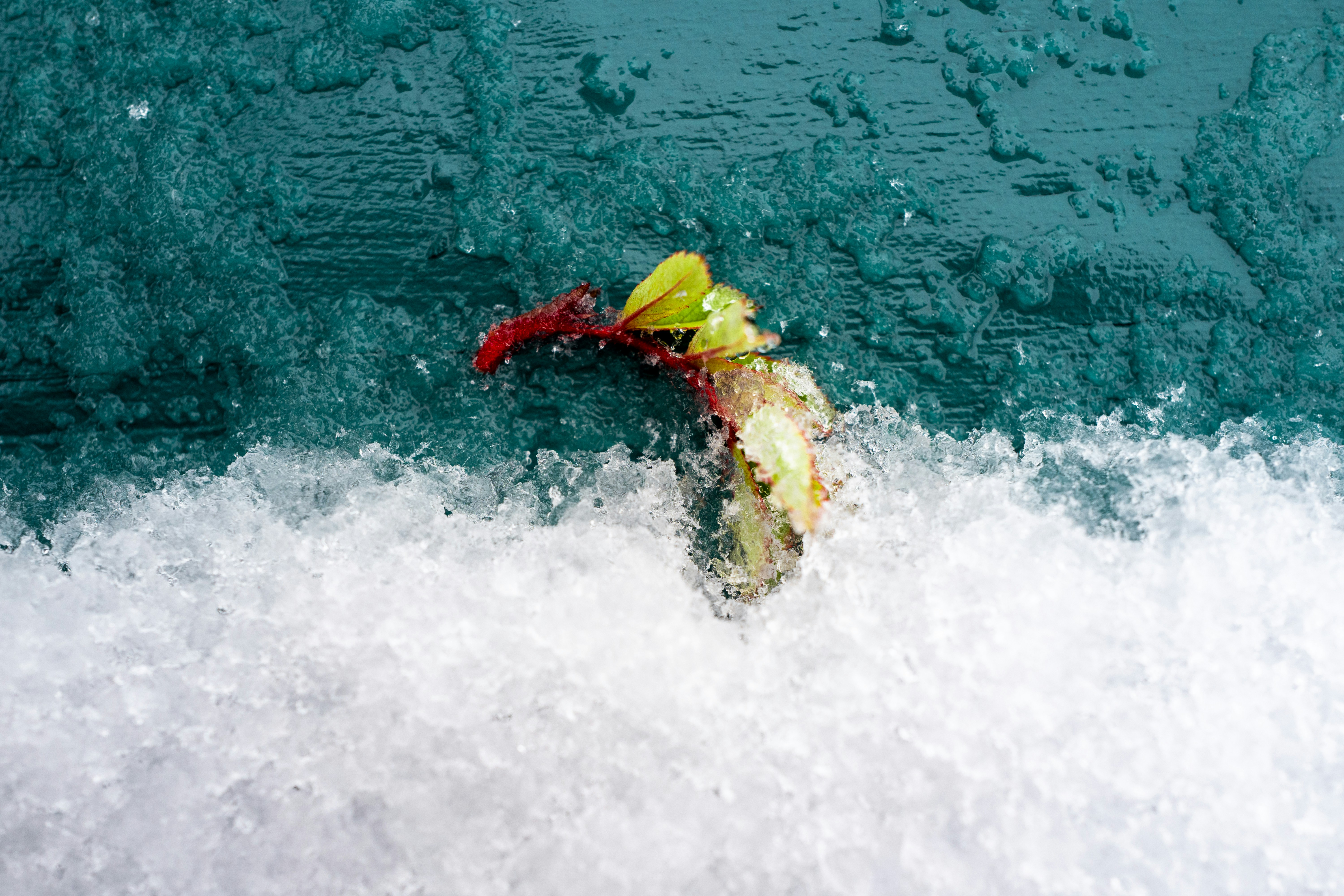 Persona con traje de neopreno rojo y amarillo montando kayak amarillo en el cuerpo de agua durante el día