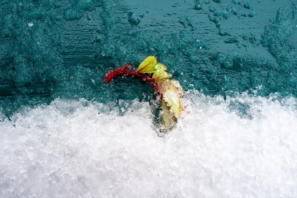 person in red and yellow wetsuit riding yellow kayak on body of water during daytime