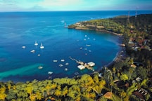 aerial view of green trees and body of water during daytime