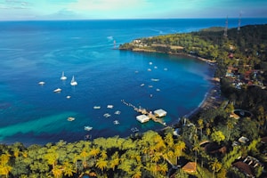 aerial view of green trees and body of water during daytime