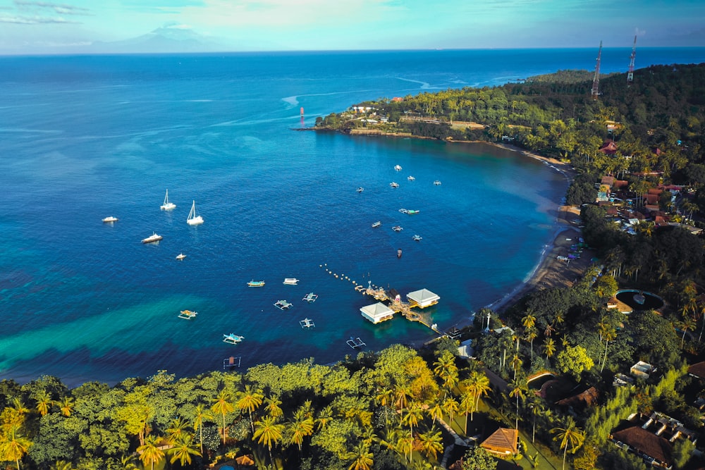 aerial view of green trees and body of water during daytime