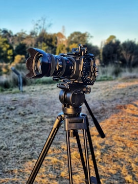 A professional camera mounted on a sturdy tripod is positioned outdoors in a natural setting. The background shows a grassy area with trees and a clear blue sky, indicating a sunny day.