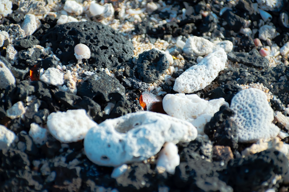 white and gray pebbles on black sand