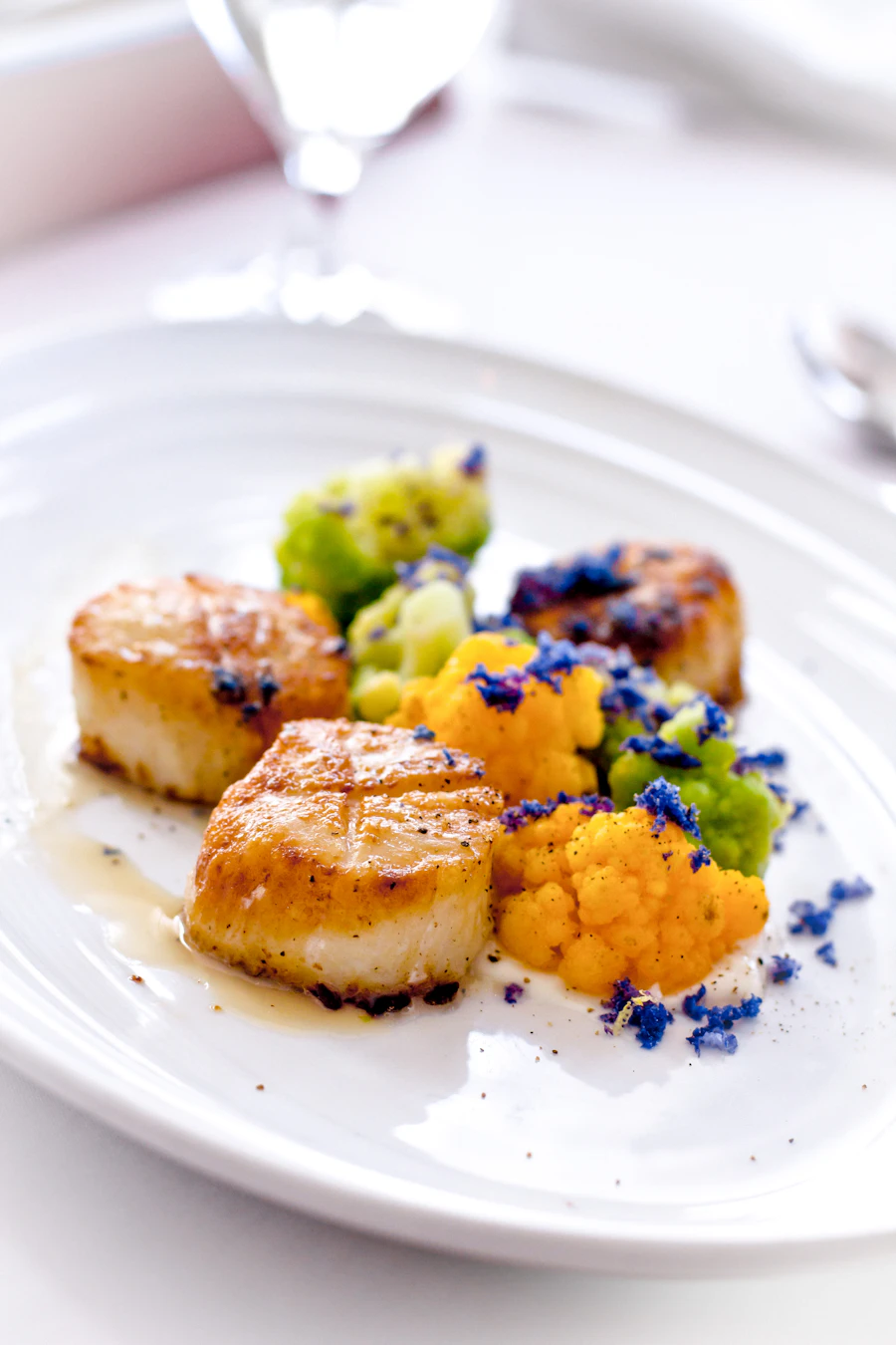 Seared scallops with cauliflower