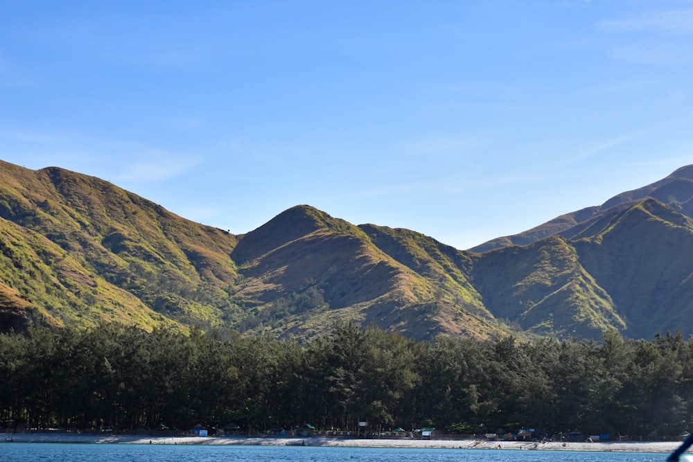 green trees on mountain near body of water during daytime