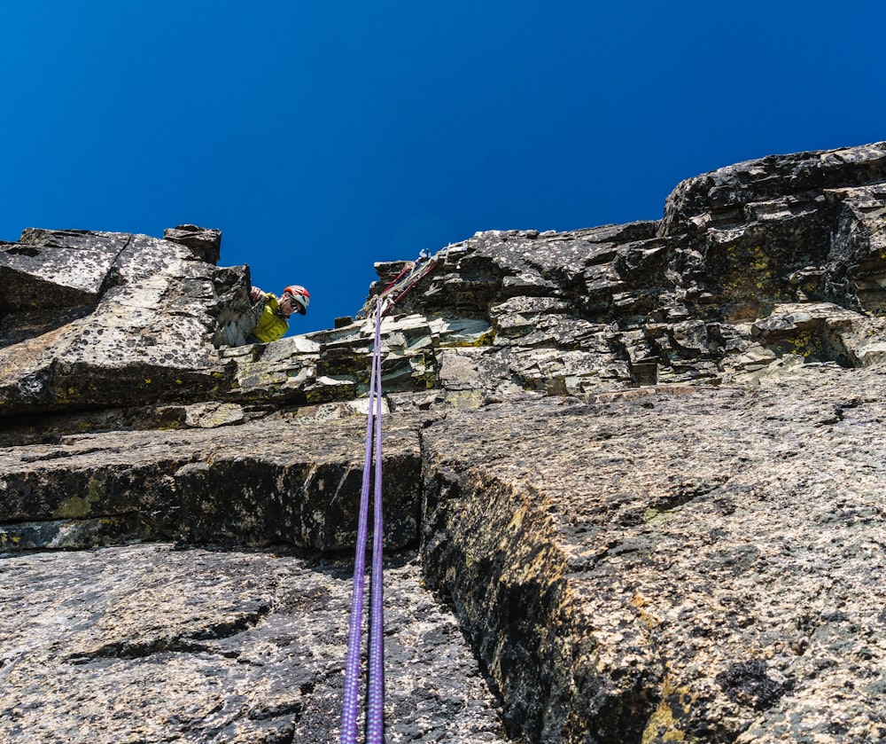 purple and white stick on gray rock