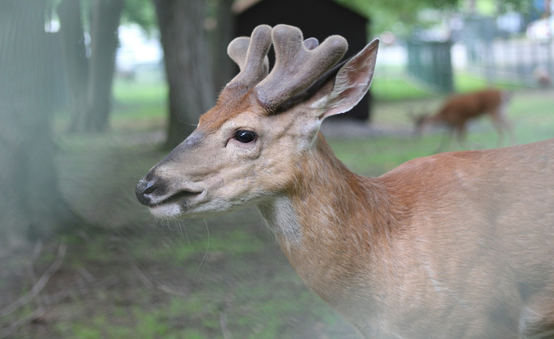 gray computer monitor