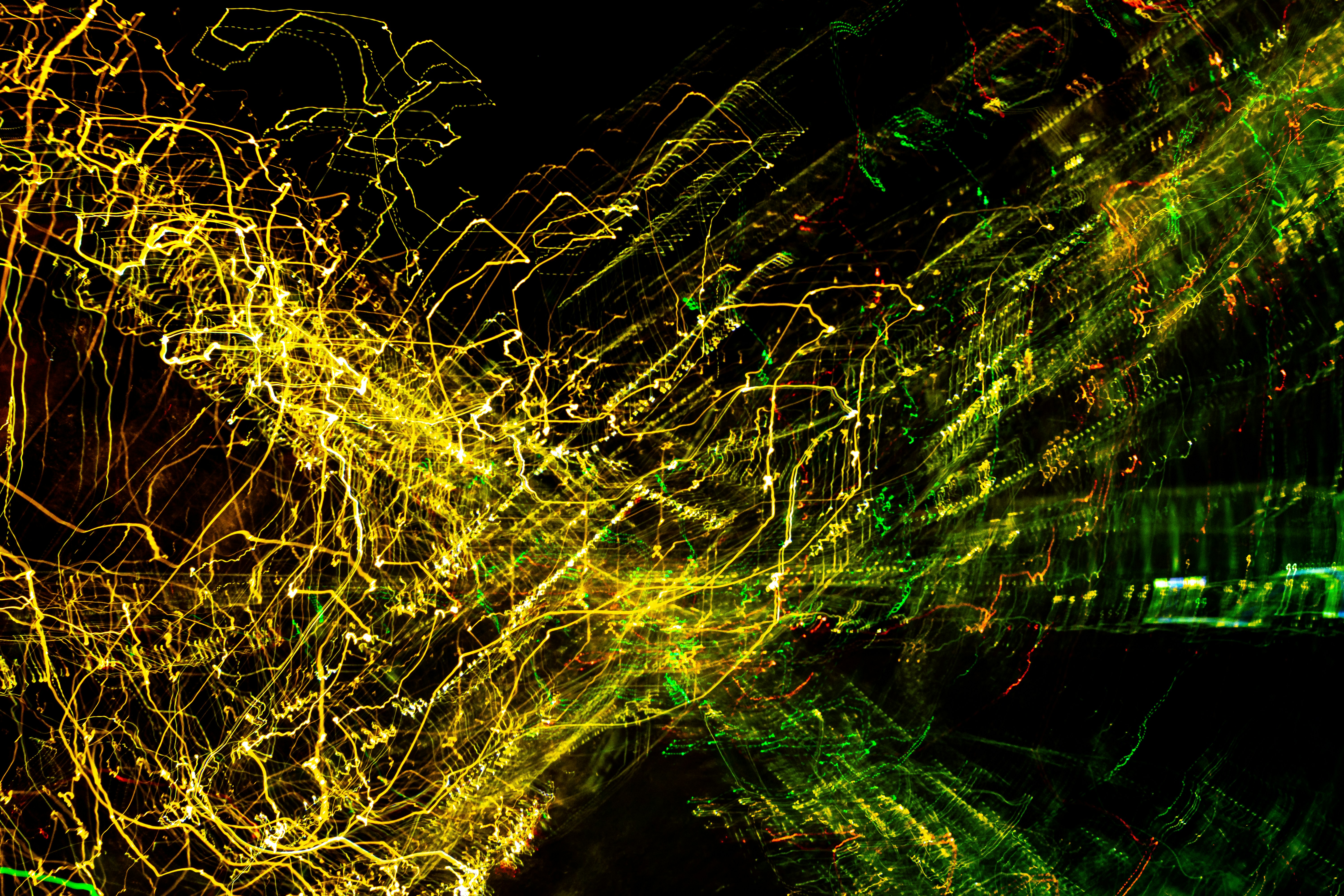 yellow lights on green grass, 