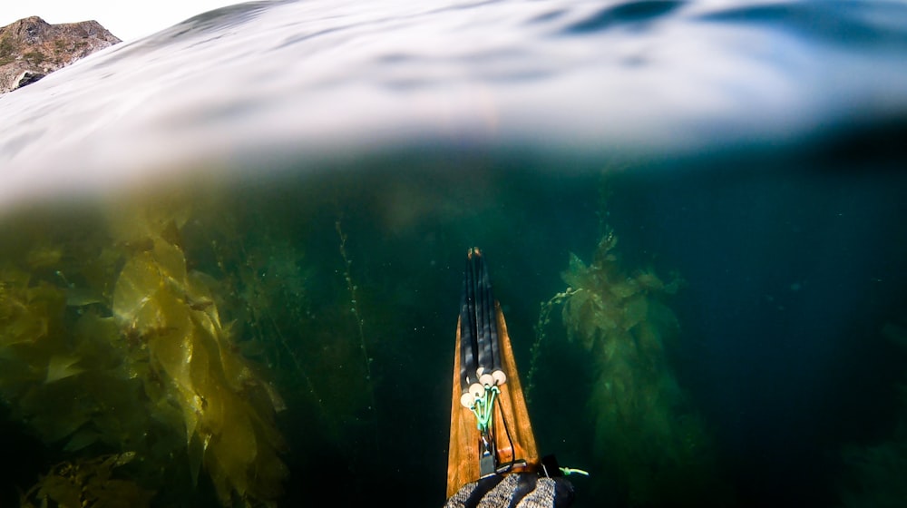 brown and black boat on water