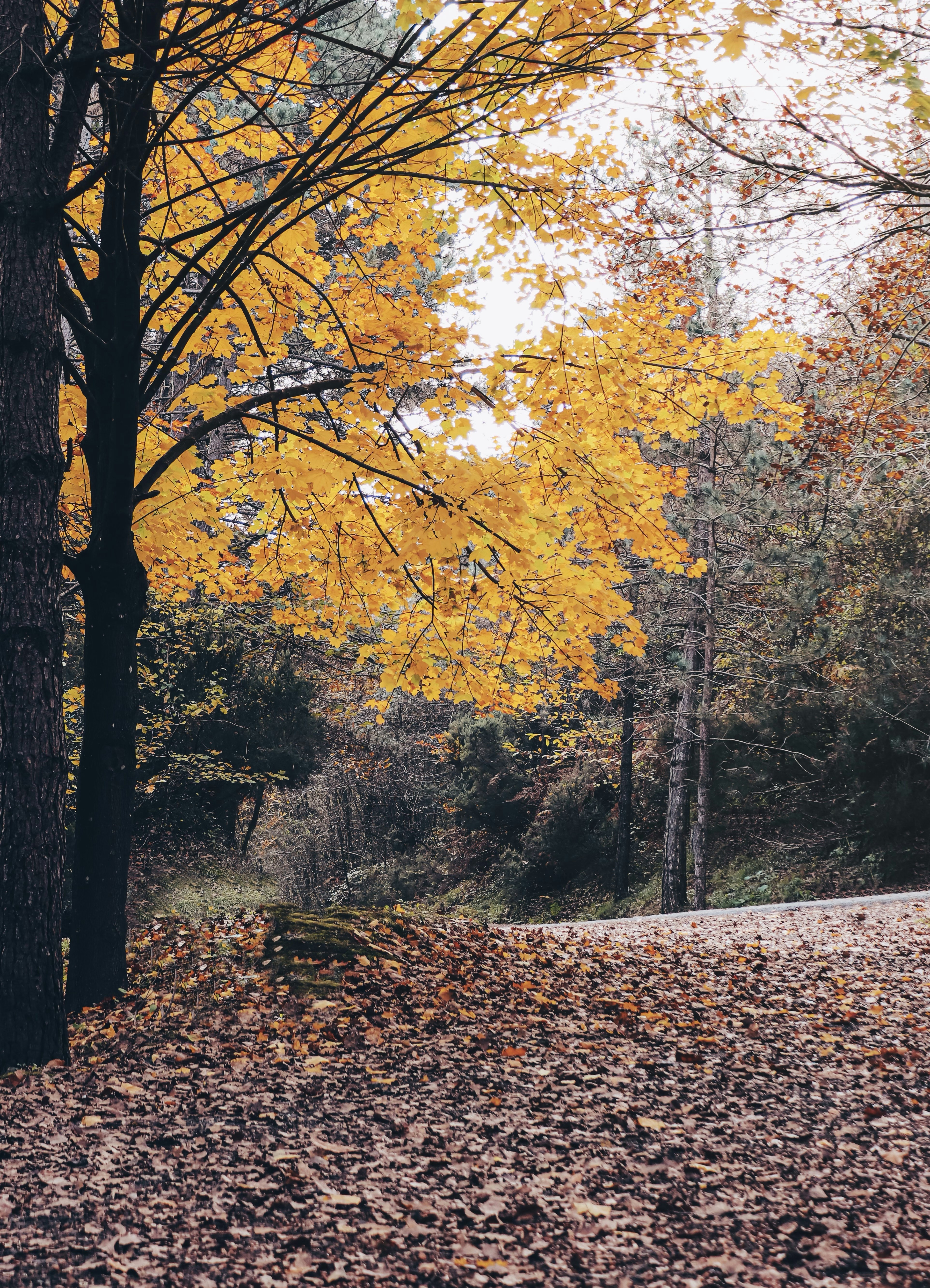 Photo by m10urcelik30