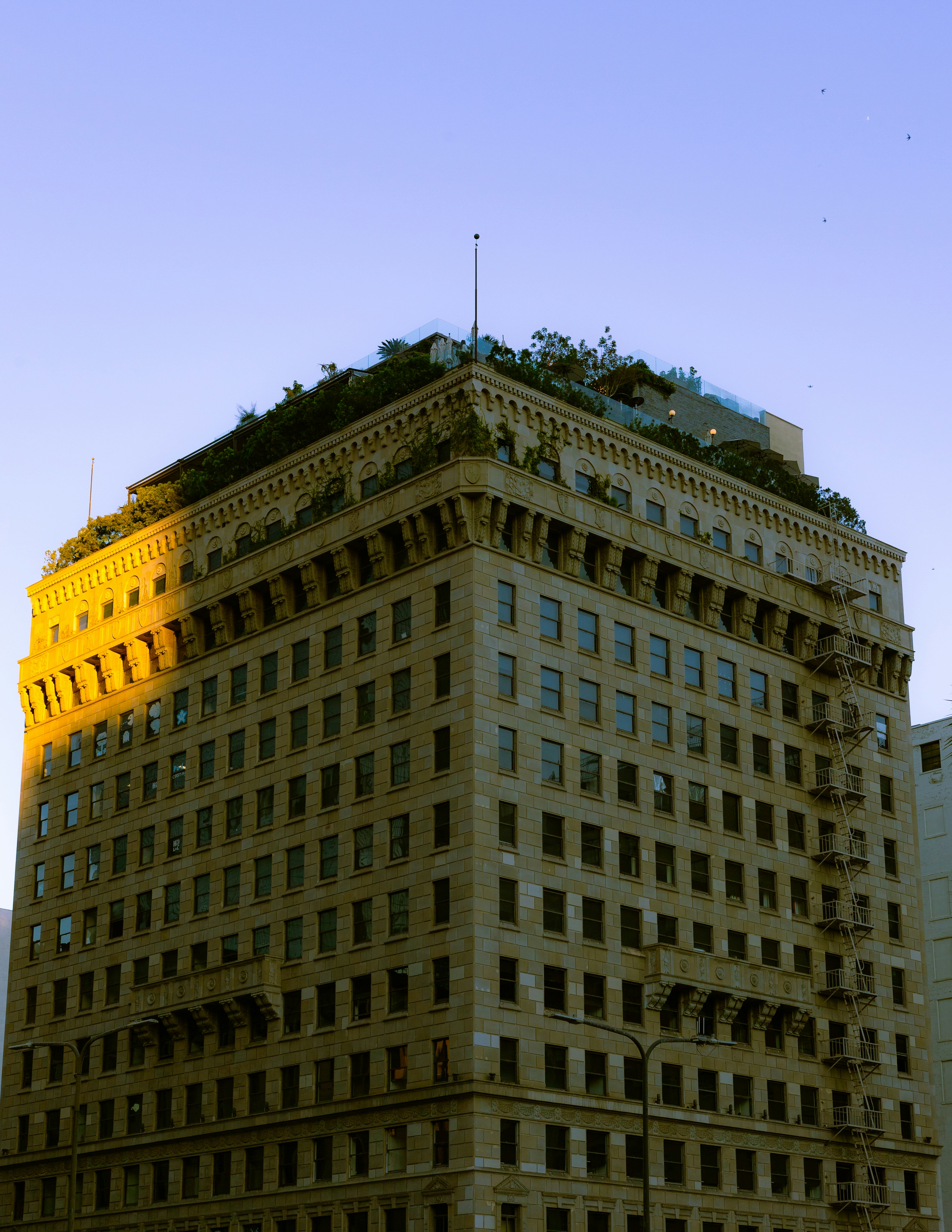 Photo by capturedbyjavi