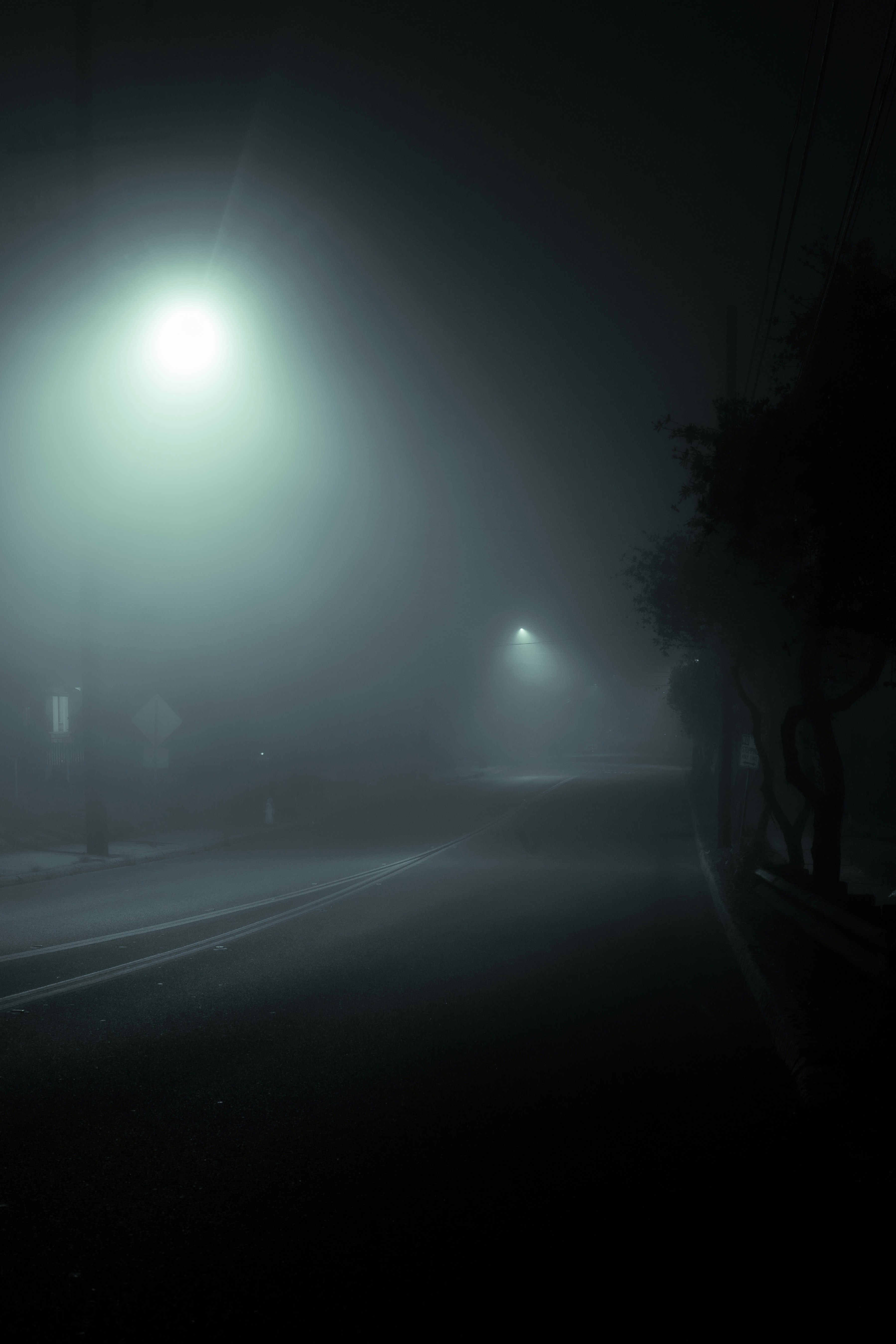 Photo by capturedbyjavi