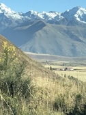 A traditional Kashmiri landscape showcasing saffron cultivation.