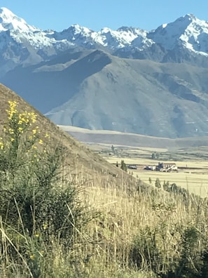 A traditional Kashmiri landscape showcasing saffron cultivation.