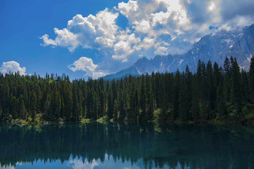 pini verdi accanto al lago sotto il cielo blu e le nuvole bianche durante il giorno