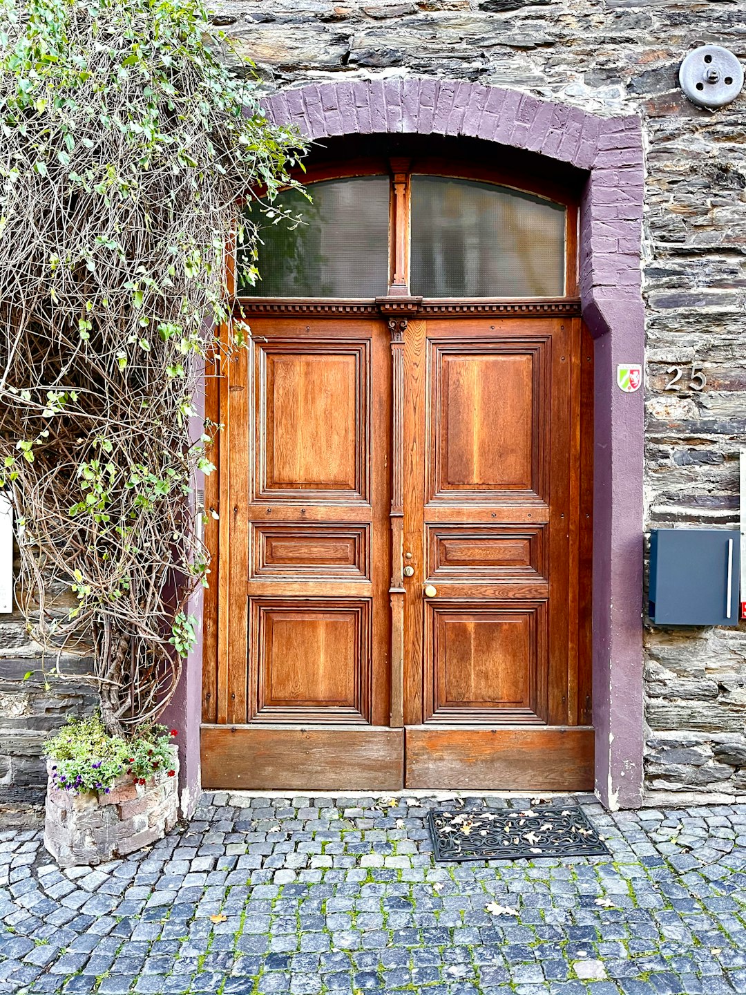 brown wooden door beside green plant