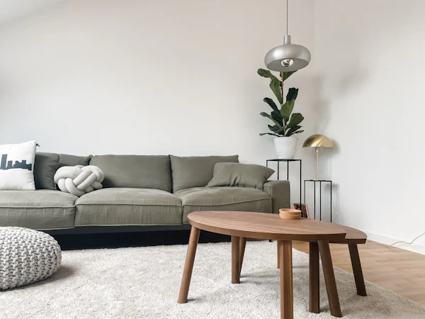 Modern minimalist living room