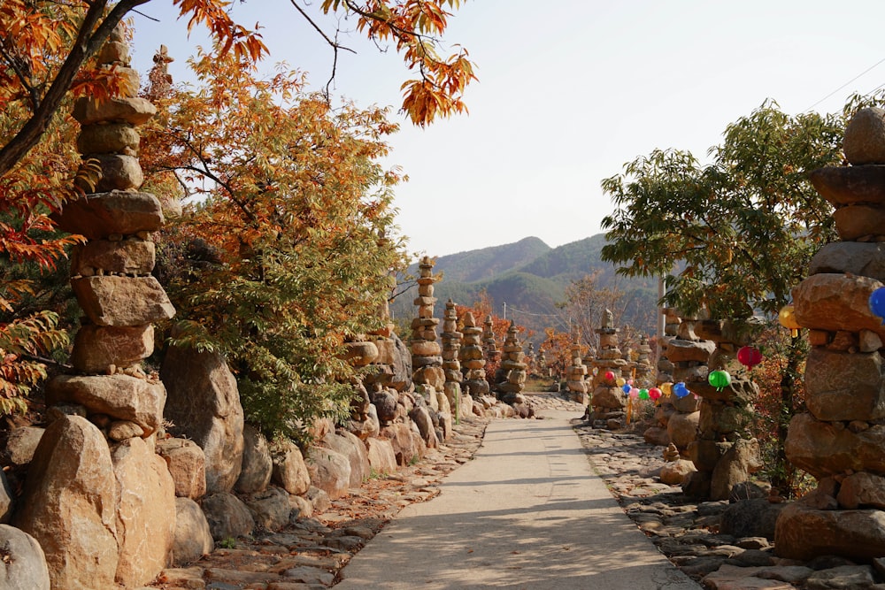 people walking on pathway near trees and mountain during daytime