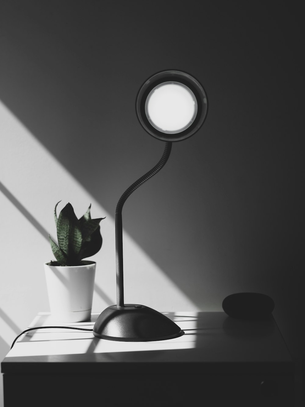 black and white desk lamp beside green plant on white table