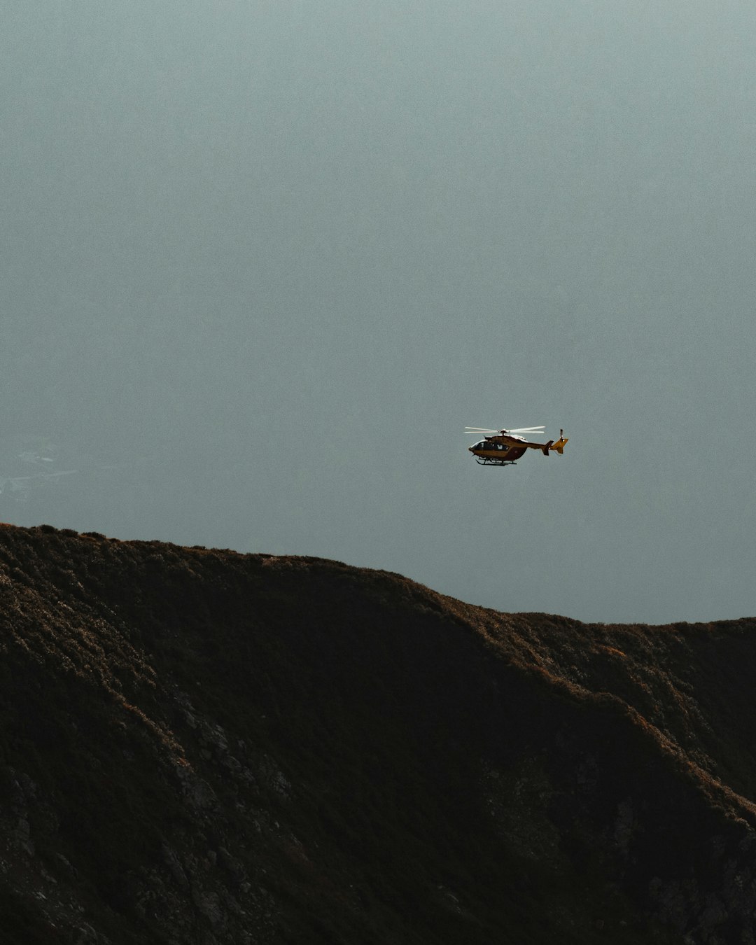 white bird flying over the mountain during daytime