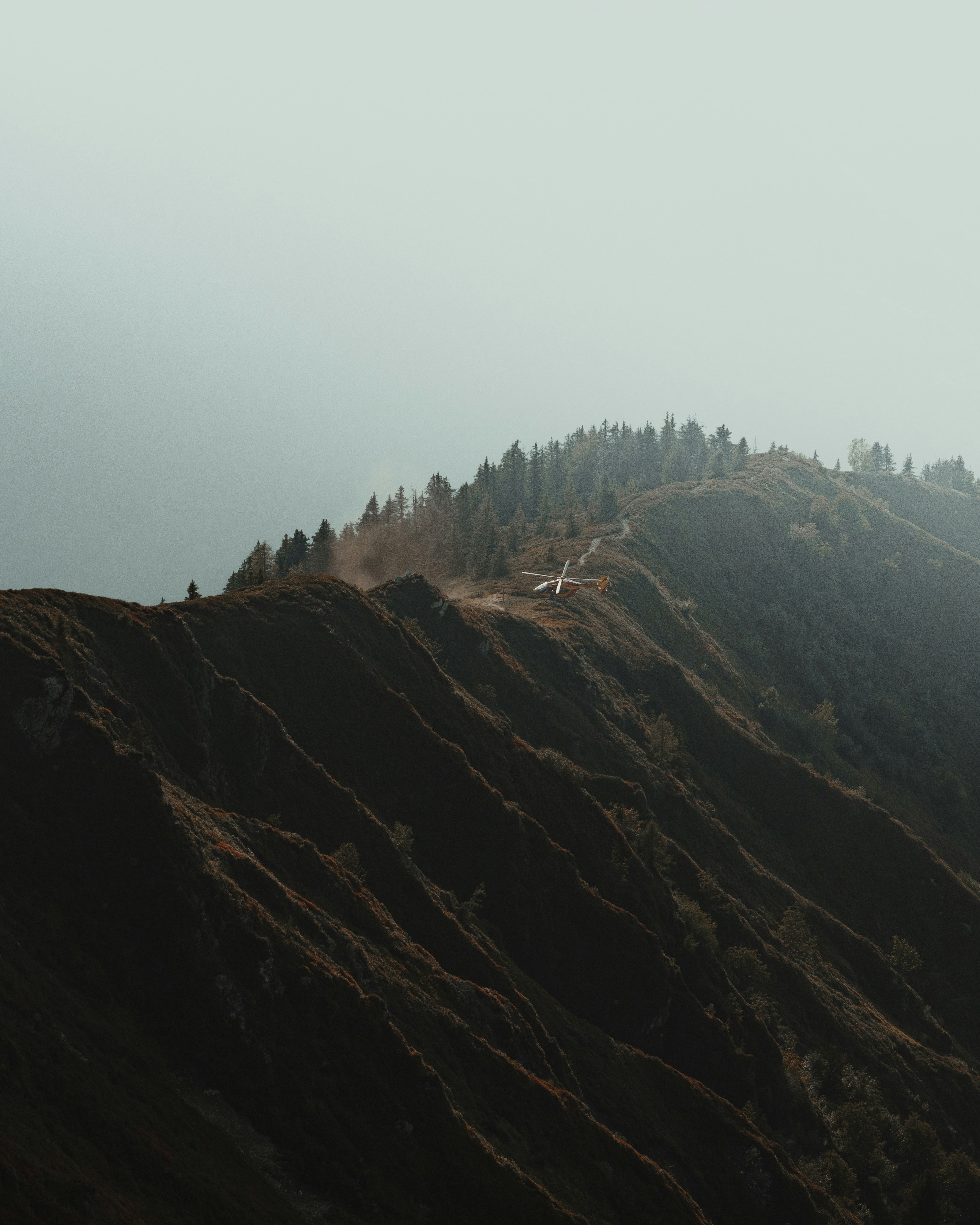 Photo by michielannaert