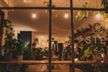 An indoor space filled with a variety of lush green plants. The room is warmly lit by incandescent bulbs hanging from the ceiling, creating a cozy and inviting atmosphere. The walls are adorned with more plants on shelves, and there is wooden furniture adding a rustic touch. The signage on the window suggests the name of the establishment.